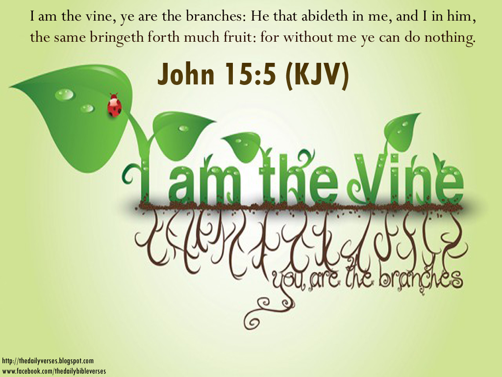 Daily Bible Verses: John 15:5